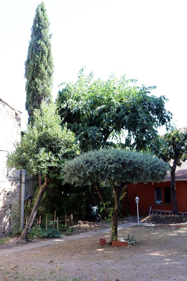 La Maison Du Soleil Vauvert Exterior foto